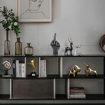 NUOBAIZHOU Funky Middle Finger Statue for Home Decor
