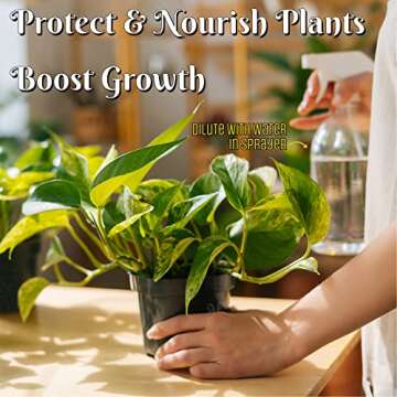 SimpleNature 6% Food Grade Hydrogen Peroxide Solution - 1 Gallon - Natural Multipurpose Cleaner - Made in USA - Ideal for