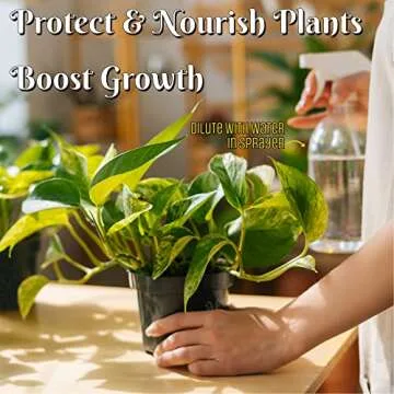 SimpleNature 6% Food Grade Hydrogen Peroxide Solution - 1 Gallon - Natural Multipurpose Cleaner - Made in USA - Ideal for