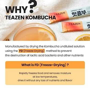 TEAZEN Lemon Ginger Hot Kombucha Tea, Probiotics & Hydration Drink
