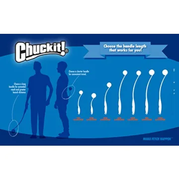 Chuckit! Max Glow Ball Dog Toy for Small Dogs
