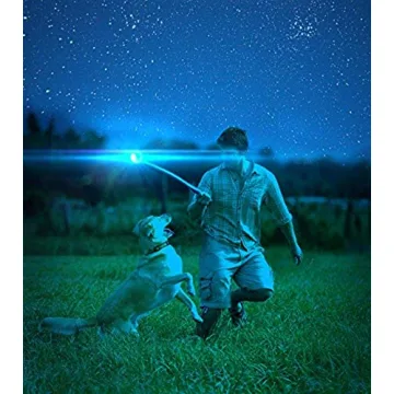 Chuckit! Max Glow Ball Dog Toy for Small Dogs