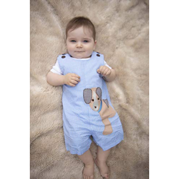 Lil Cactus Baby Boys Applique Shortall Overalls Romper