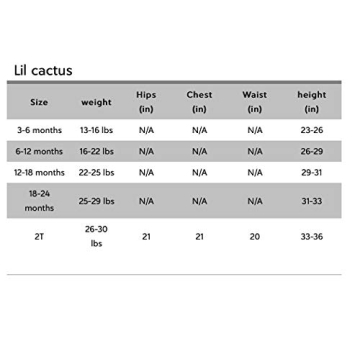 Lil Cactus Baby Boys Applique Shortall Overalls Romper