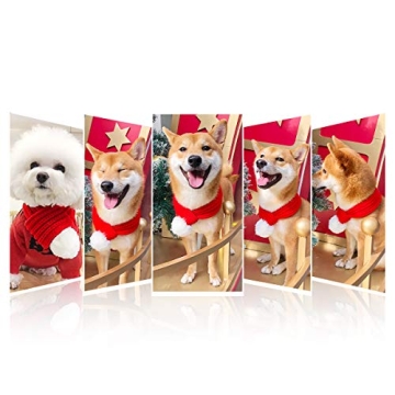 Stylish PEDOMUS Dog Christmas Scarf for Festive Fun