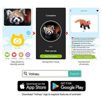 Volnau Safari Animal Figurines Toys 7PCS North America Figures Zoo Pack for Toddlers Kids Christmas Decoration Gift Preschool Educational Moose Wolf Bear Jungle Forest Woodland Set