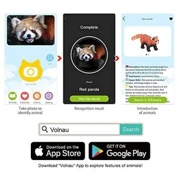 Volnau Safari Animal Figurines Toys 7PCS North America Figures Zoo Pack for Toddlers Kids Christmas Decoration Gift Preschool Educational Moose Wolf Bear Jungle Forest Woodland Set