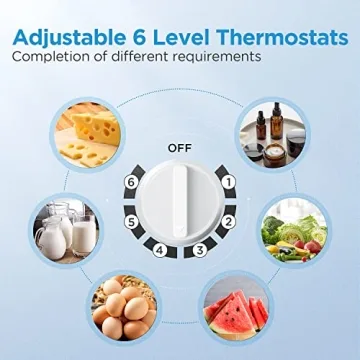 Compact 1.6 Cubic Feet Refrigerator with Reversible Door