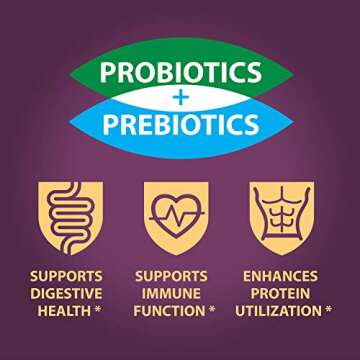 Banana Chips Mix - Dried Bananas Gluten Free Chips. Dehydrated Fruits Healthy Chips Vegan Gluten Free Snack, Probiotic, Mixed Flavor 6 Packs - 2x Sea Salt, 2x Thai Sweet Chili, 1x BBQ, 1x Sriracha