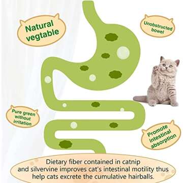 SINROBO 3 Pack Green Catnip Balls, Cat Toys for Cats, Safe & Healthy, Teeth Cleaning, Indoor Use, Portable & Lightweight