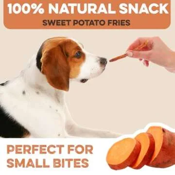 BRUTUS & BARNABY Sweet Potato Dog Treats 14 oz