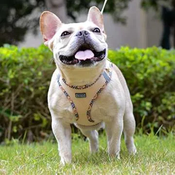 Mercano Soft Mesh Dog Harness and Leash Set, No-Chock Step-in Reflective Breathable Lightweight Easy Walk Escape Proof Vest Harnesses with Safety Buckle for Small Medium Dogs, Cats (Beige, XXS)