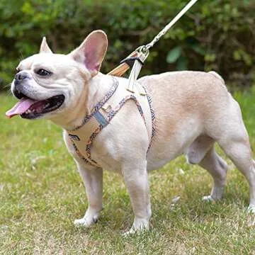 Mercano Soft Mesh Dog Harness and Leash Set, No-Chock Step-in Reflective Breathable Lightweight Easy Walk Escape Proof Vest Harnesses with Safety Buckle for Small Medium Dogs, Cats (Beige, XXS)