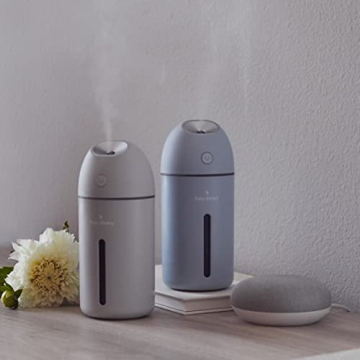 Hey Dewy Wireless, Rechargeable, Self-Care, Skin-Nourishing, Hydrating, Portable Cool Mist Humidifier (Ocean)