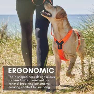Non-stop dogwear Line Harness 5.0, Padded Dog Harness for Large Dogs, Made for Hiking, Sport and Everyday Active Life with 3 Leash Clips, Reflectors and Ergonomic Fit, Orange, Size 7