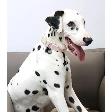 Buy DOGWONG Heavy-Duty Cotton Hemp Dog Collar - Adjustable Pink