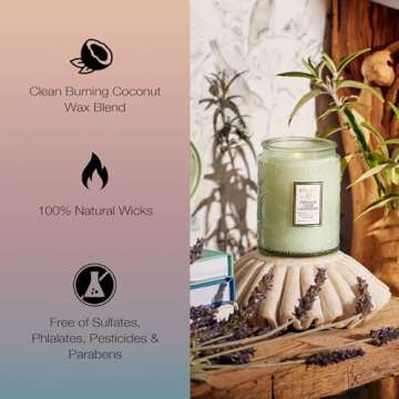 Voluspa French Cade Lavender, Small Candle Jar, 5.5 Ounces, 50 Hour Burn Time, Coconut Wax for Clean Burning, Handcrafted in The USA