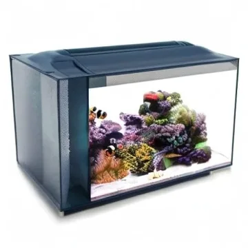 Fluval Evo XII Saltwater Aquarium Kit 13.5 Gal - Perfect for Beginners