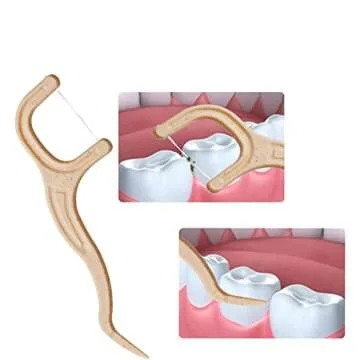 Eco-Friendly JEBBLAS Dental Floss Picks for All Ages