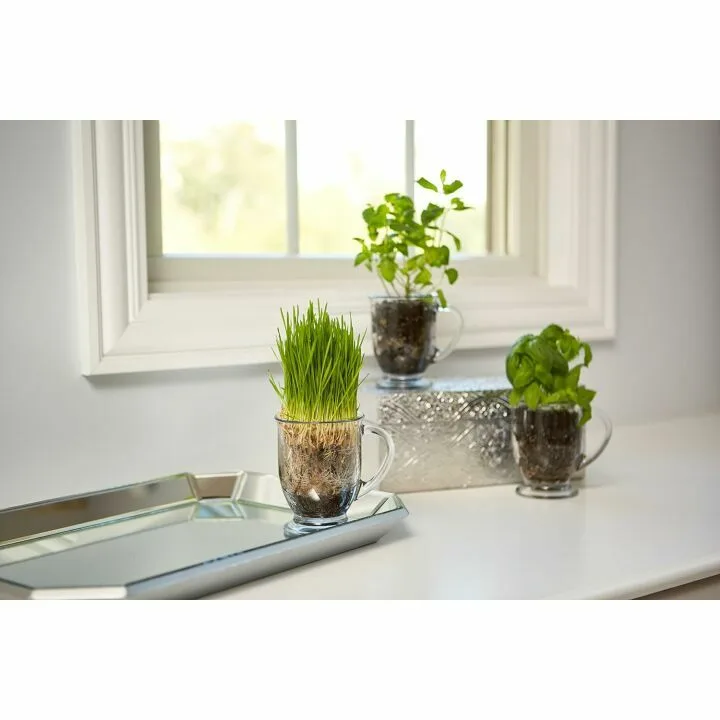 Anchor Hocking 16 oz Glass Coffee Mugs Set of 6