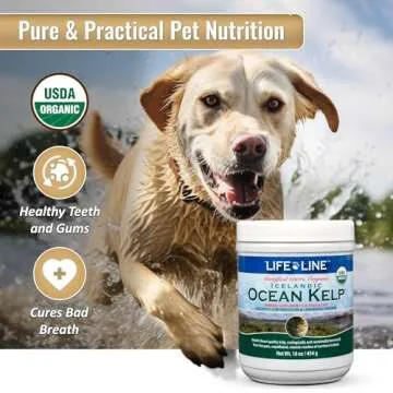 Organic Ocean Kelp for Optimal Pet Health 16 OZ