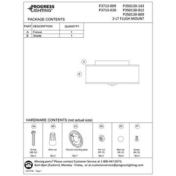 Progress Lighting Inspire Two-Light Flush Mount Fixture