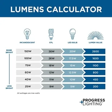 Progress Lighting Inspire Two-Light Flush Mount Fixture