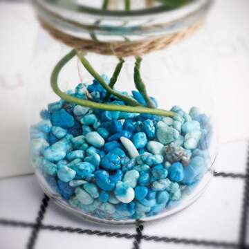 1 lb Turquoise Tumbled Chips for Jewelry & Decor