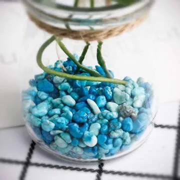 1 lb Turquoise Tumbled Chips for Jewelry & Decor
