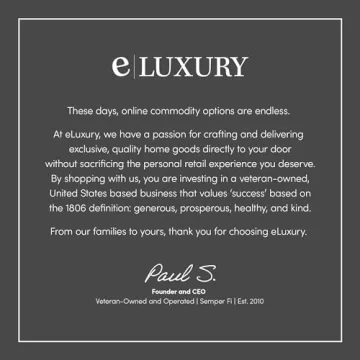 eLuxurySupply Accent Chair - Modern Industrial Slant Armchair with Layered Foam and Metal Frame - Premium High Density Soft Cushion for Supreme Comfort - Easy Assembly 2 Pack