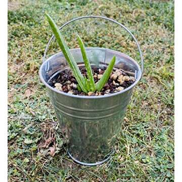Goldenvalueable 12 Metal Buckets 5 Inch Galvanized Pail for Wedding Decorations, Centerpieces for Party, Garden Planters