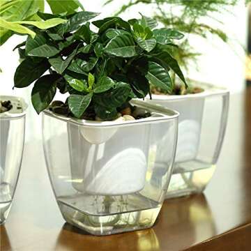 FENGZHITAO Self-Watering Planter, Clear Plastic Automatic-Watering Planter Flower Pot Square-Plant-P...