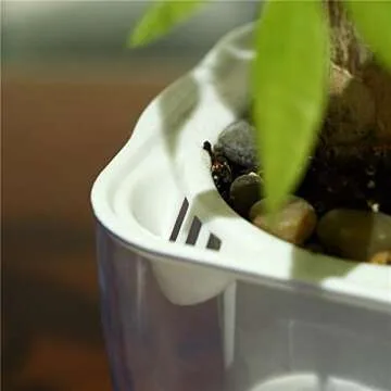 FENGZHITAO Self-Watering Planter, Clear Plastic Automatic-Watering Planter Flower Pot Square-Plant-Pot for All Plants, Succulents, Herb, African Violets, Flowers (Clear L)