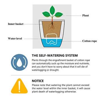 FENGZHITAO Self-Watering Planter, Clear Plastic Automatic-Watering Planter Flower Pot Square-Plant-Pot for All Plants, Succulents, Herb, African Violets, Flowers (Clear L)