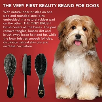 Pride and Groom Dual-Sided Pet Grooming Brush for Healthy Coats
