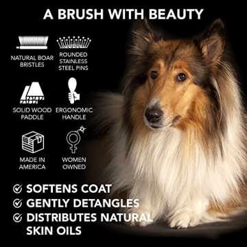 Pride and Groom Dual-Sided Pet Grooming Brush for Healthy Coats