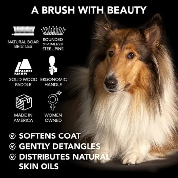 Pride and Groom Dual-Sided Pet Grooming Brush for Healthy Coats