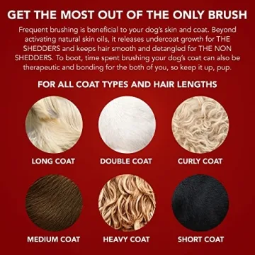 Pride and Groom Dual-Sided Pet Grooming Brush for Healthy Coats