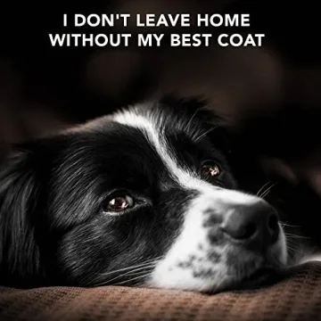 Pride and Groom Dual-Sided Pet Grooming Brush for Healthy Coats