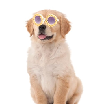 Topbuti Girls Round Daisy Flower Sunglasses UV 400 Fun Eyewear