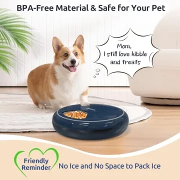 ORSDA Automatic Cat Feeder with Timed Meals and Voice Recorder