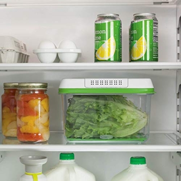 Rubbermaid Produce Food Storage, 17.3 Cup, Green