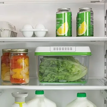Rubbermaid Produce Food Storage, 17.3 Cup, Green