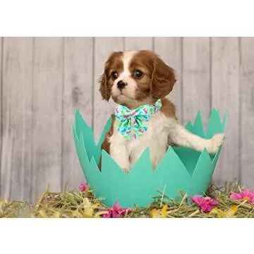 Lionet Paws Easter Dog Collar with Bowtie, Bunny Dog Sailor Bow Collar with Metal Buckle for Dogs and Cats, Adjustable Comfortable Eggs Dog Collar Girl Gift, S, Neck 10-16 in