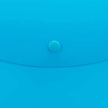 Smead Project Envelope, Snap Closure, Top Load, Letter Size, Assorted Colors, 4 per Pack (89685)