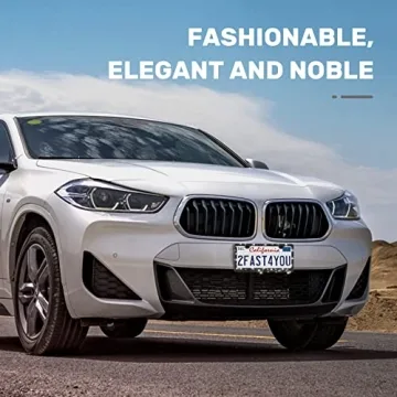 Stainless Steel Bling License Plate Frame - 2 Pack