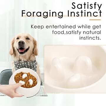 SUPERDESIGN Slow Feeder Dog Bowl for Healthy Eating