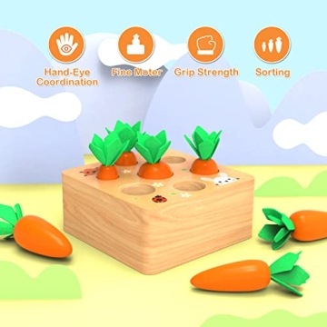 Montessori Wooden Carrot Sorting Toy for Toddlers