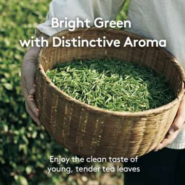 OSULLOC Cold Green Tea Stick-Type Refreshing Organic Beverage