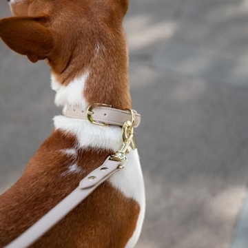 Nina Woof Leather Dog Leash - Stylish Vegan Leather for All Dogs